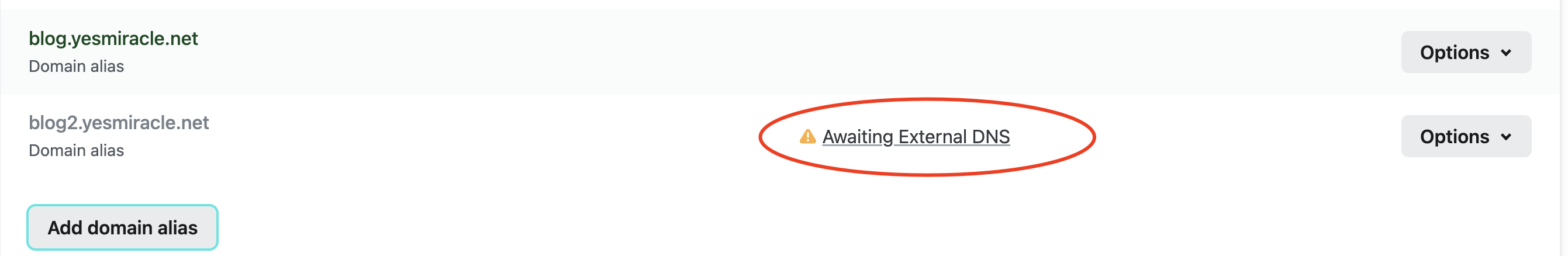 Netlify Awaiting external DNS 状态截图