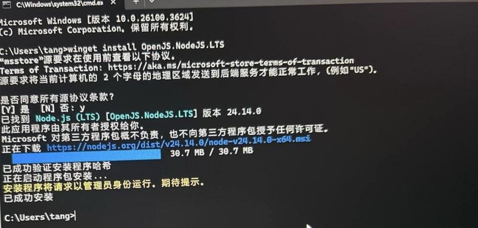 安装成功