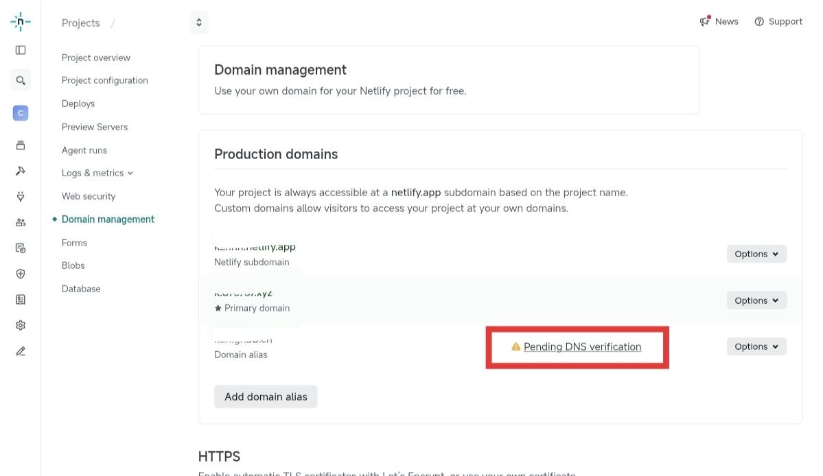 Netlify Domain management 页面点击 Pending DNS verification 提示