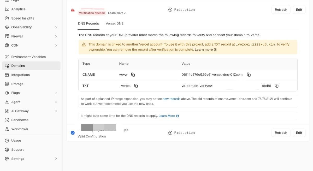 Vercel Domains 页面显示 CNAME 和 TXT DNS 记录